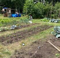 Grundstück zur Miete – Ideal für Gemüseanbau und Freizeit - Berlin Reinickendorf