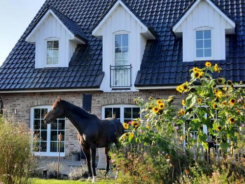 Foto - Einfamilienhaus im Friesenstil mit Doppelgarage und Garten