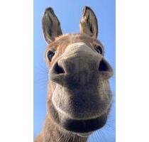 Duisburg Röttgersbach, Wohnung ab 01.03.26 frei!