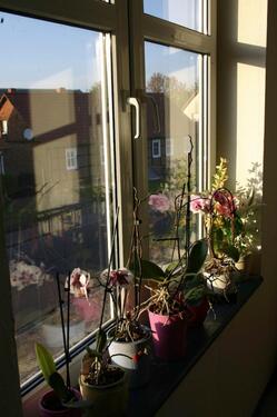 Foto - 3 Zimmer Erdgeschoßwohnung in Diesdorf