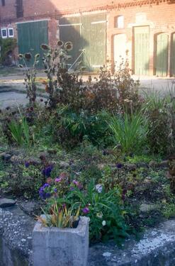 Foto - Erdgeschoßwohnung in Diesdorf zur Miete