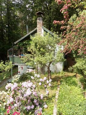 Foto - Haus im Wald mit Fischteich am Bach