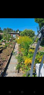 Foto - Grundst&uuml;ck zur Miete in Pirna