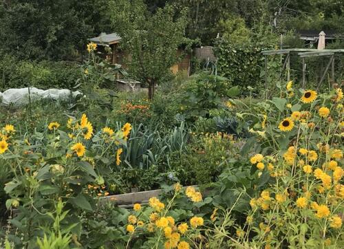 Foto - Pachtgarten an den Klausbergen - 2.000,00&nbsp;EUR Kaltmiete, ca.&nbsp; 0,00&nbsp;m&sup2;