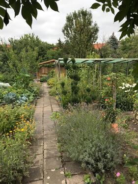 Foto - Grundst&uuml;ck zur Miete in Halle (Saale)