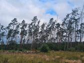 Foto - Grundstück zur Miete in Jerichow
