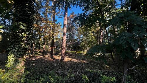 Foto - Einfamilienhaus in Gifhorn