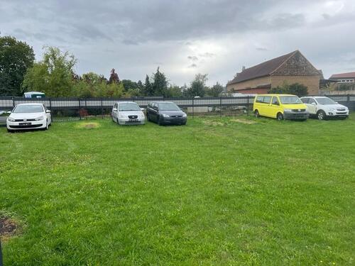 Foto - andere in Halle (Saale)