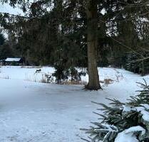 Freizeitgrundstück mit Teichen bei Weißenstadt - Zell im Fichtelgebirge