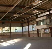 Lagerhalle 400m² - 3,00&nbsp;EUR Kaltmiete, in Steinheim (PLZ: 32839)