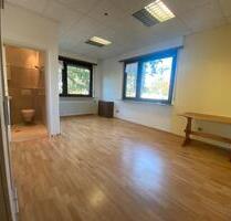 Ein-zwei oder 3 Zimmer-Wohnung in Käfertal, Mannheim zu vermieten