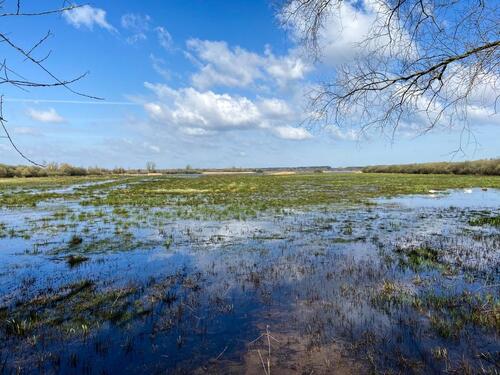 Foto - Traumhafte Maisonette-Wohnung am idyllischen Steinhuder Meer