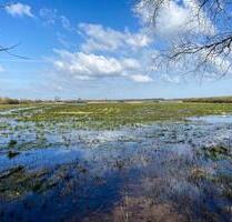 Traumhafte Maisonette-Wohnung am idyllischen Steinhuder Meer - Rehburg-Loccum