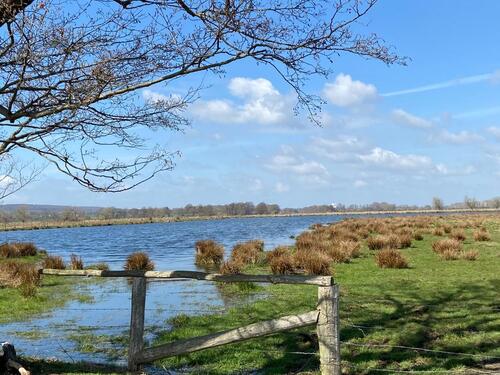 Foto - 4 Zimmer Etagenwohnung in Rehburg-Loccum