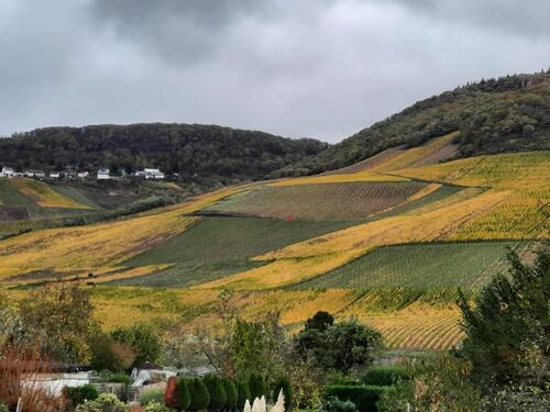 Foto - Eigentumswohnung - 369.000,00 EUR Kaufpreis, ca.  80,50 m²