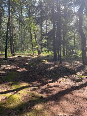 Foto - Einfamilienhaus in Wildeshausen zum Kaufen