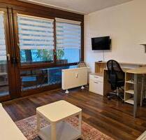 Schöne 1 Zimmer Wohnung, möbiliert, Balkon und Parkplatz - Mannheim Niederfeld
