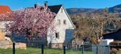 Foto - Einfamilienhaus in Gersfeld (Rhön)