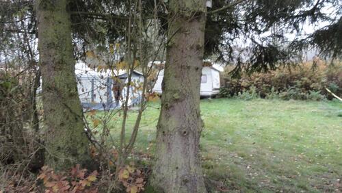 Foto - Wiesenstellplatz mit zwei Wohnwägen