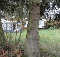 Wiesenstellplatz mit zwei Wohnwägen - Alsfeld