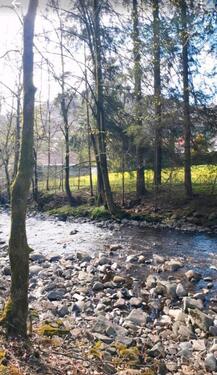 Foto - 1 Zimmer Etagenwohnung zur Miete in Herzberg am Harz