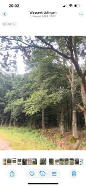 Foto - Waldgrundstück - 1.234,00&nbsp;EUR Kaltmiete, ca.&nbsp; 0,00&nbsp;m&sup2;