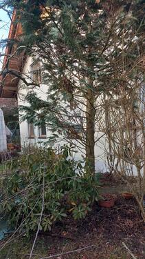 Foto - 10 Zimmer Einfamilienhaus in Ortenburg