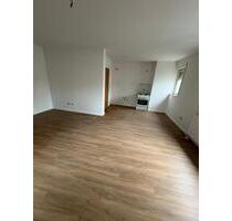 Frisch renovierte 2-Zi-Wohnung mit Stellplatz und Gartennutzung - Büdingen