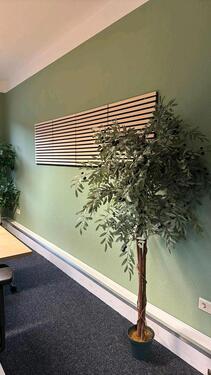 Foto - andere zur Miete in Braunschweig