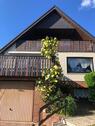 Foto - Etagenwohnung zur Miete in Schneverdingen