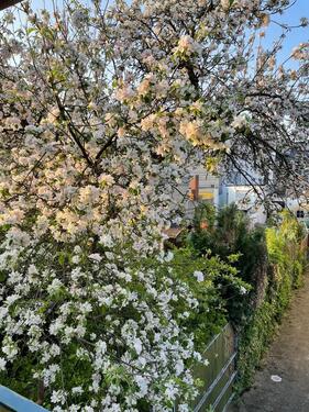 Foto - 5 Zimmer Einfamilienhaus zur Miete in Jülich