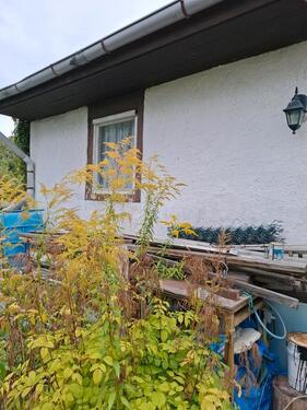 Foto - Grundstück in Klostermansfeld zur Miete