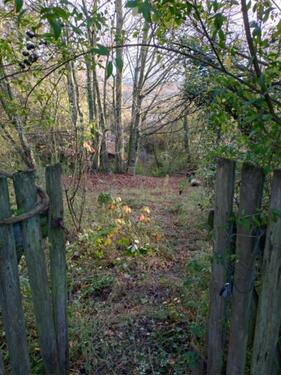 Foto - Garten Gartengrundstück, Berger Hang Bergen-Enkheim zu verpachten