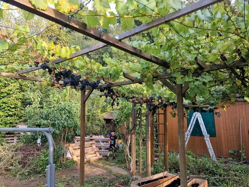 Foto - Grundst&uuml;ck in Gera