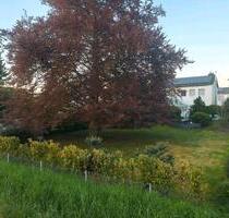 Einfamilienhaus in Top Lage *ruhig gelegen großer Garten* - Lampertheim