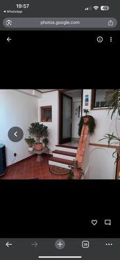 Foto - 2.5 Zimmer Etagenwohnung zur Miete in Fußgönheim