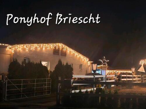 Foto - 4 Raum Wohnung in Briescht ca. 120qm