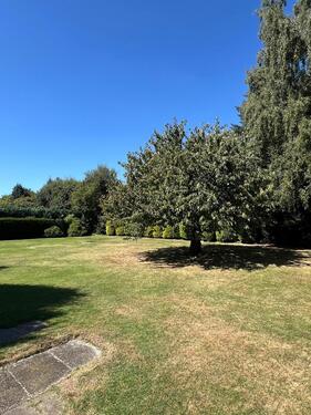 Foto - 3 Zimmer Etagenwohnung zur Miete in Lage