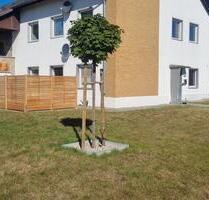 Vermiete 3 Zimmer EG-Wohnung mit Terrasse in Wolfsburg
