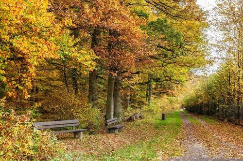Foto - Waldgrundstück mit Bach und Wegzugang bei Klotten