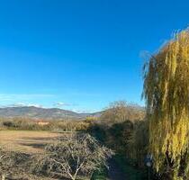 Eigentumswohnung, Dachgeschoss, 4Z, EBK, TLB, Terrasse,, Kamin.. - Ladenburg