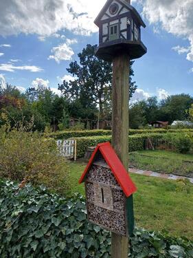 Foto - Grundstück in Hohenlockstedt zur Miete