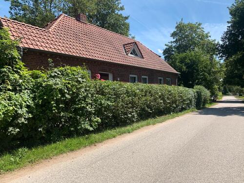 Foto - Einfamilienhaus in Neustadt in Holstein zum Kaufen