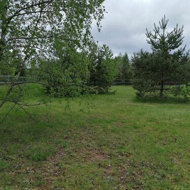 Foto - andere in Schleusingen