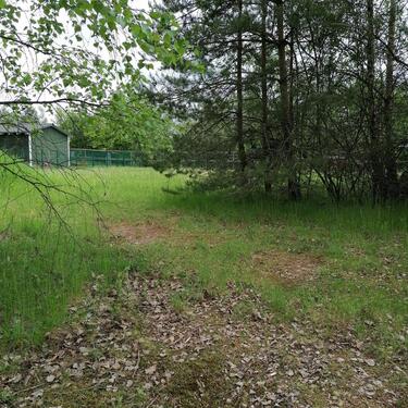 Foto - andere in Schleusingen zur Miete