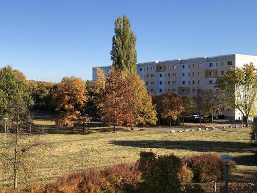 Foto - Einziehen und Wohlfühlen... - 285,00 EUR Kaltmiete,