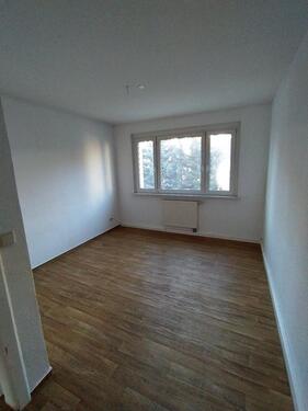 Foto - 3 Raumwohnung Beilrode - hell und geräumig