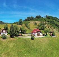 Ferienhaus im Schwarzwald, Bauernhof in traumhafter Lage - Oppenau