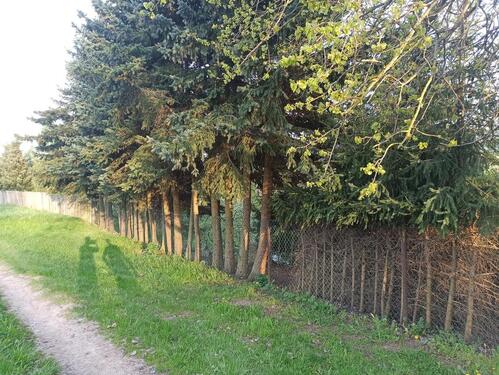 Foto - Grundst&uuml;ck zur Miete in Geratal