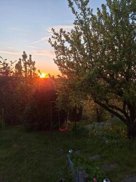 Foto - Garten in liebevolle Hände abzugeben